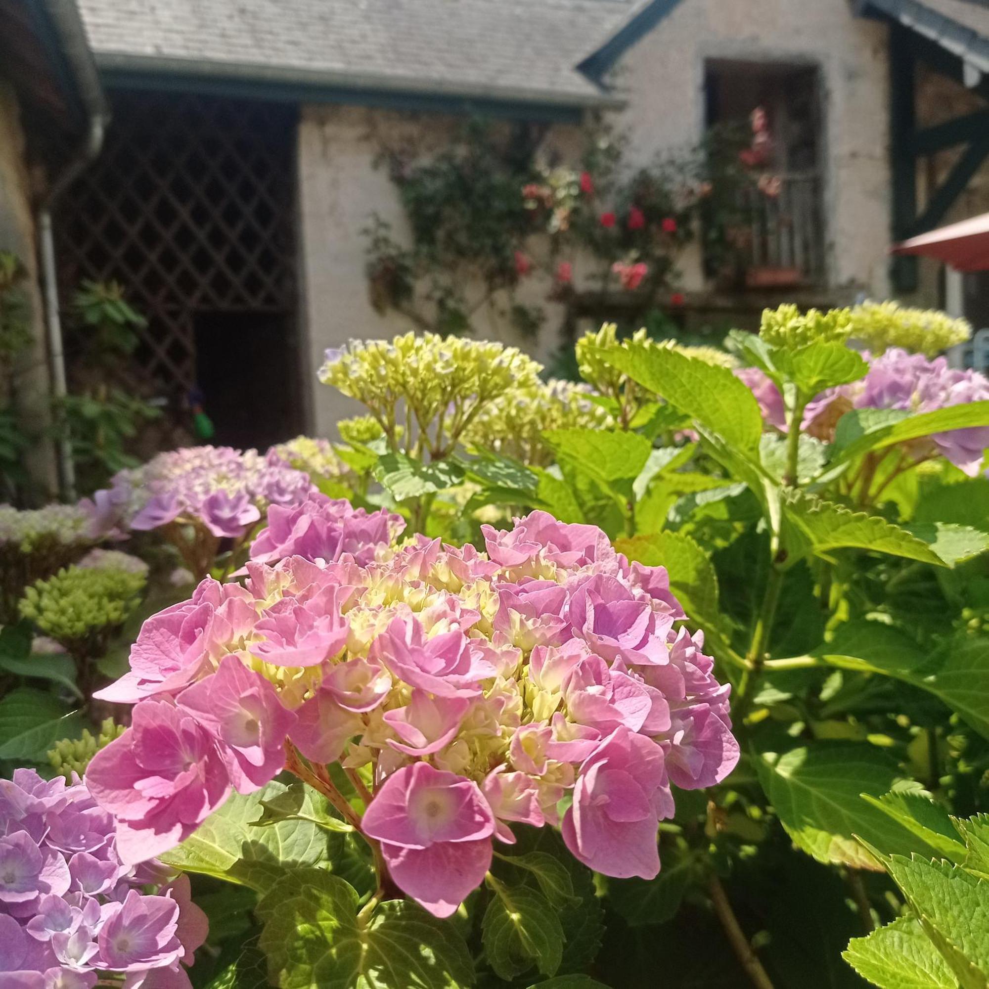 Le Clos De Cinacle Ogeu-les-Bains Eksteriør bilde